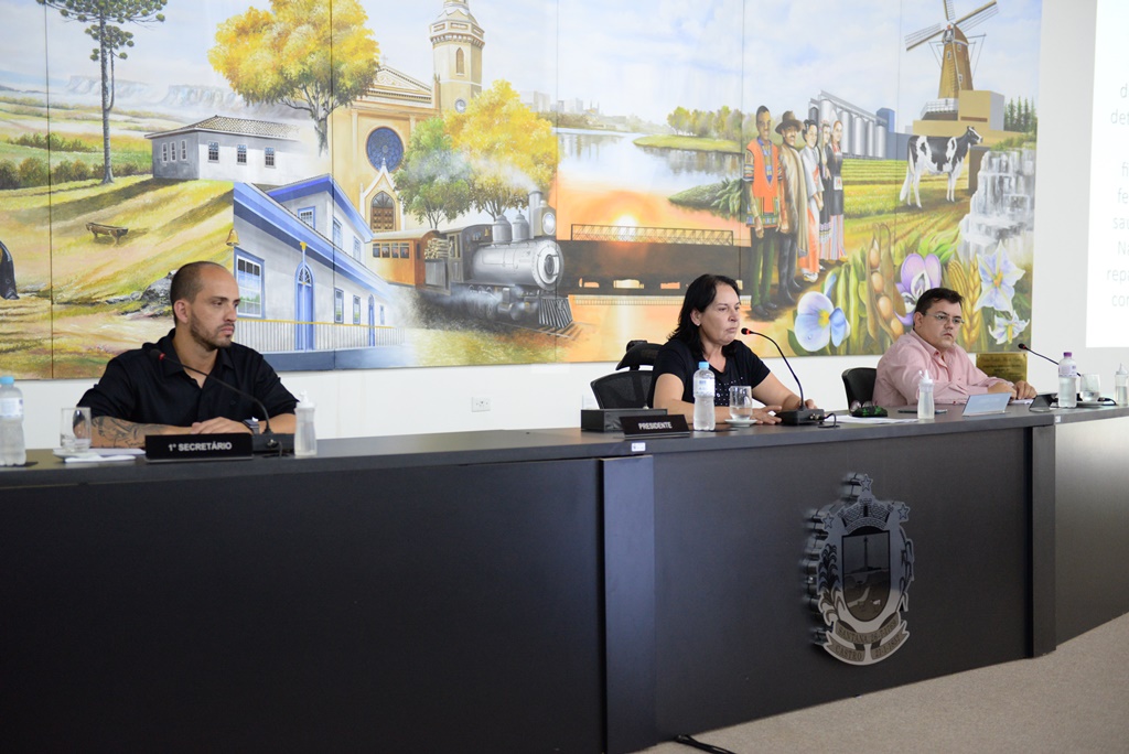 Social e Saúde prestam contas na Câmara