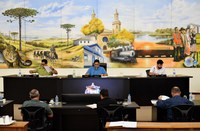 Presidente da Câmara sugere pagamento do vale-alimentação em dinheiro, até que ocorra licitação de cartões