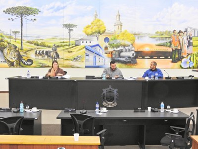 Audiência Pública LOA 2018 - 08-11-2017 - Foto 01.JPG