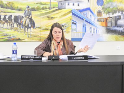 Audiência Pública LOA 2018 - 08-11-2017 - Foto 06.JPG