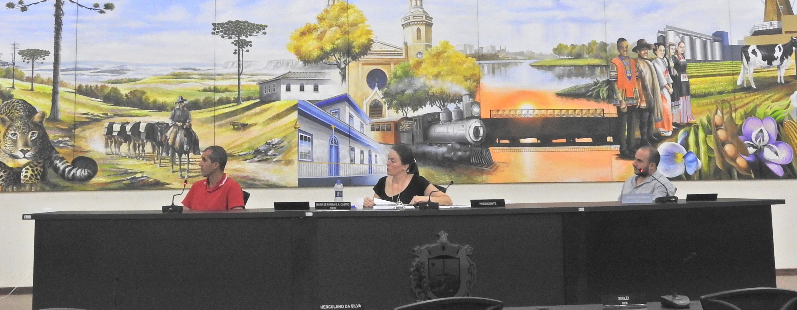 Aud Pub - 23-02-2017 - 3 Quad Saúde - Foto 13.JPG