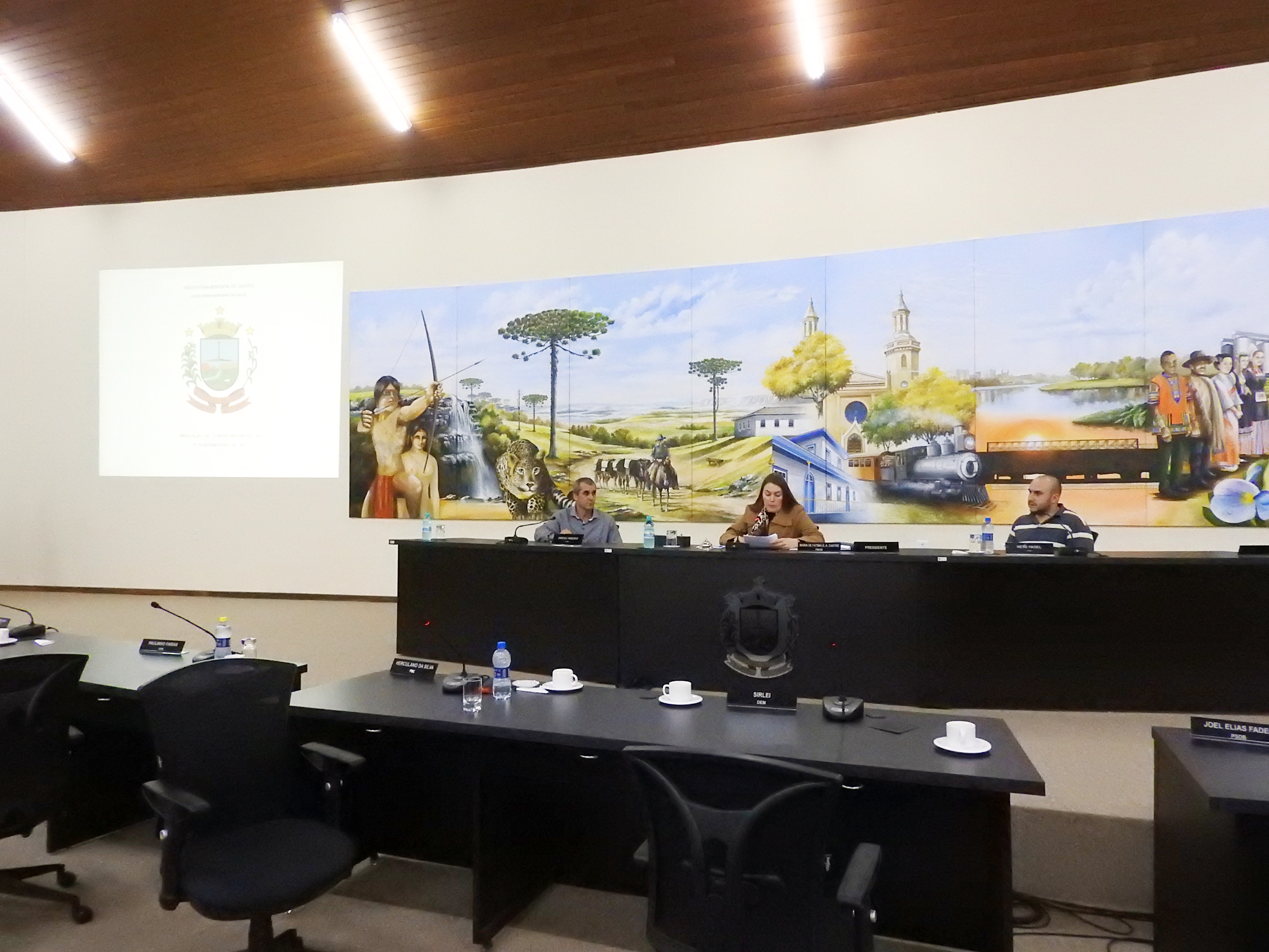 Audiência Pública - Metas da Saúde 1ºquad - 24-05-2017 - foto 01.JPG