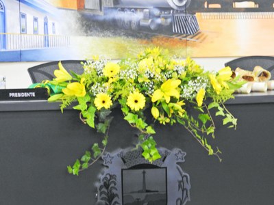 Castrense que Brilha 11-10-2017 - Foto 02.JPG