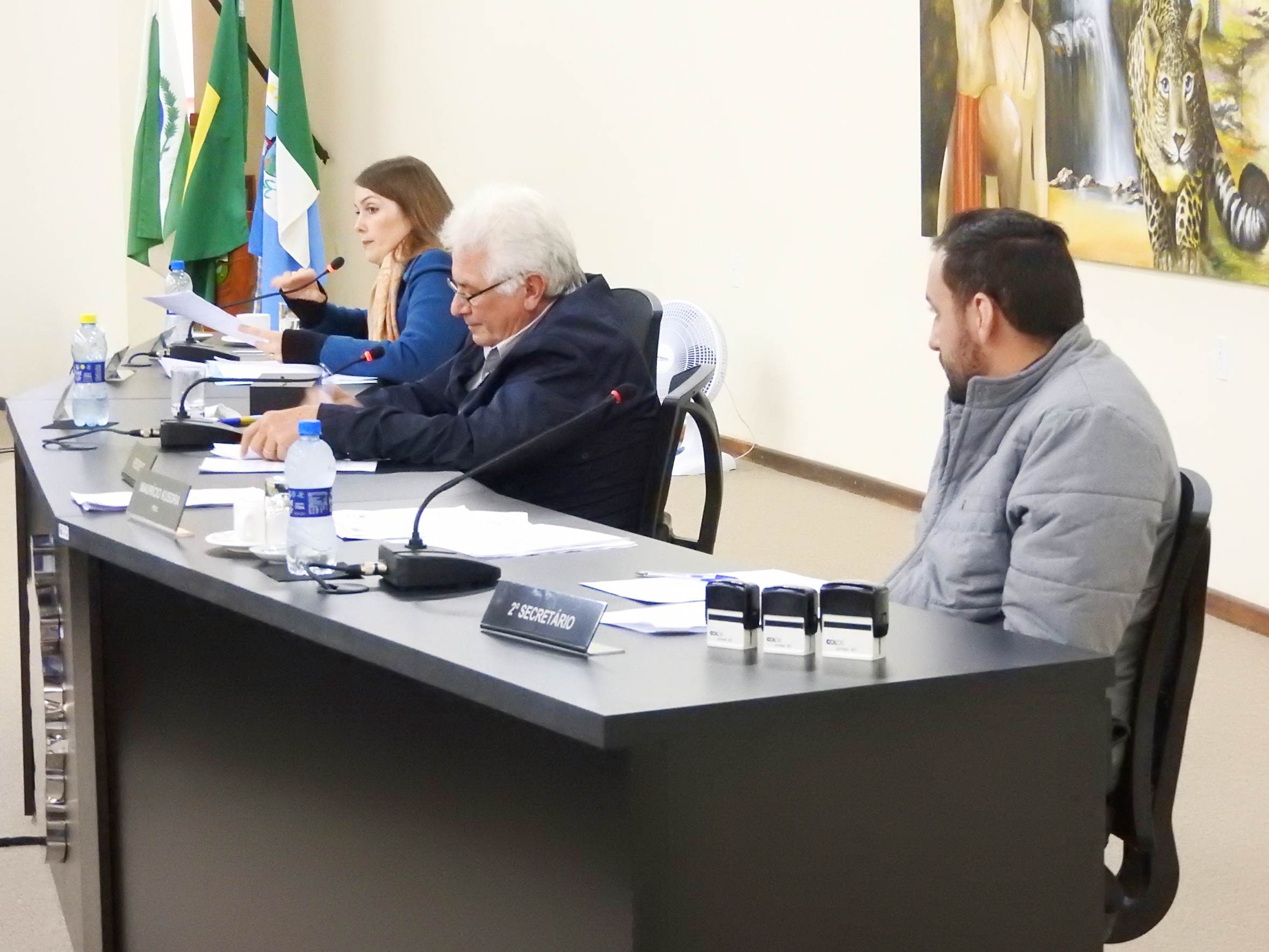 Sessão Ordinária de 14-06-2017 - Foto 15.JPG