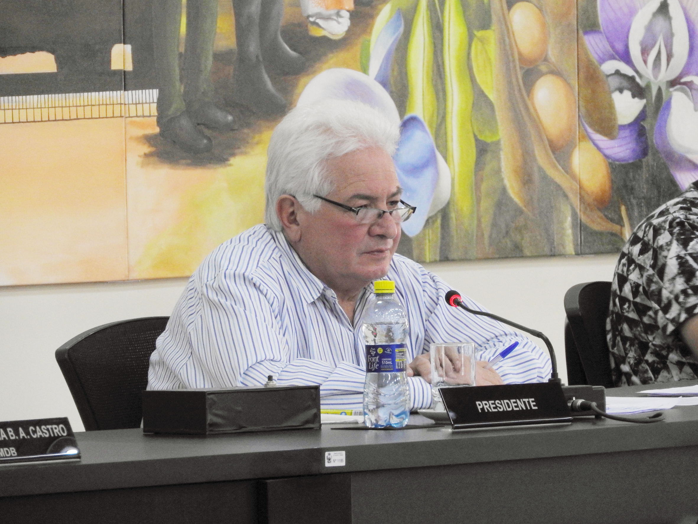 Sessão Ordinária de 02-08-2017 - Foto 10.JPG