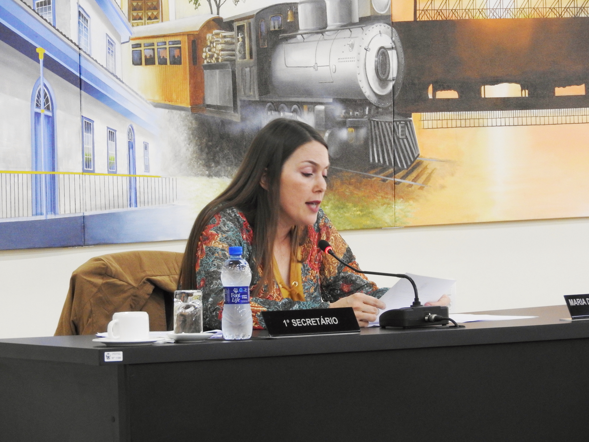 Sessão Ordinária de 02-08-2017 - Foto 12.JPG