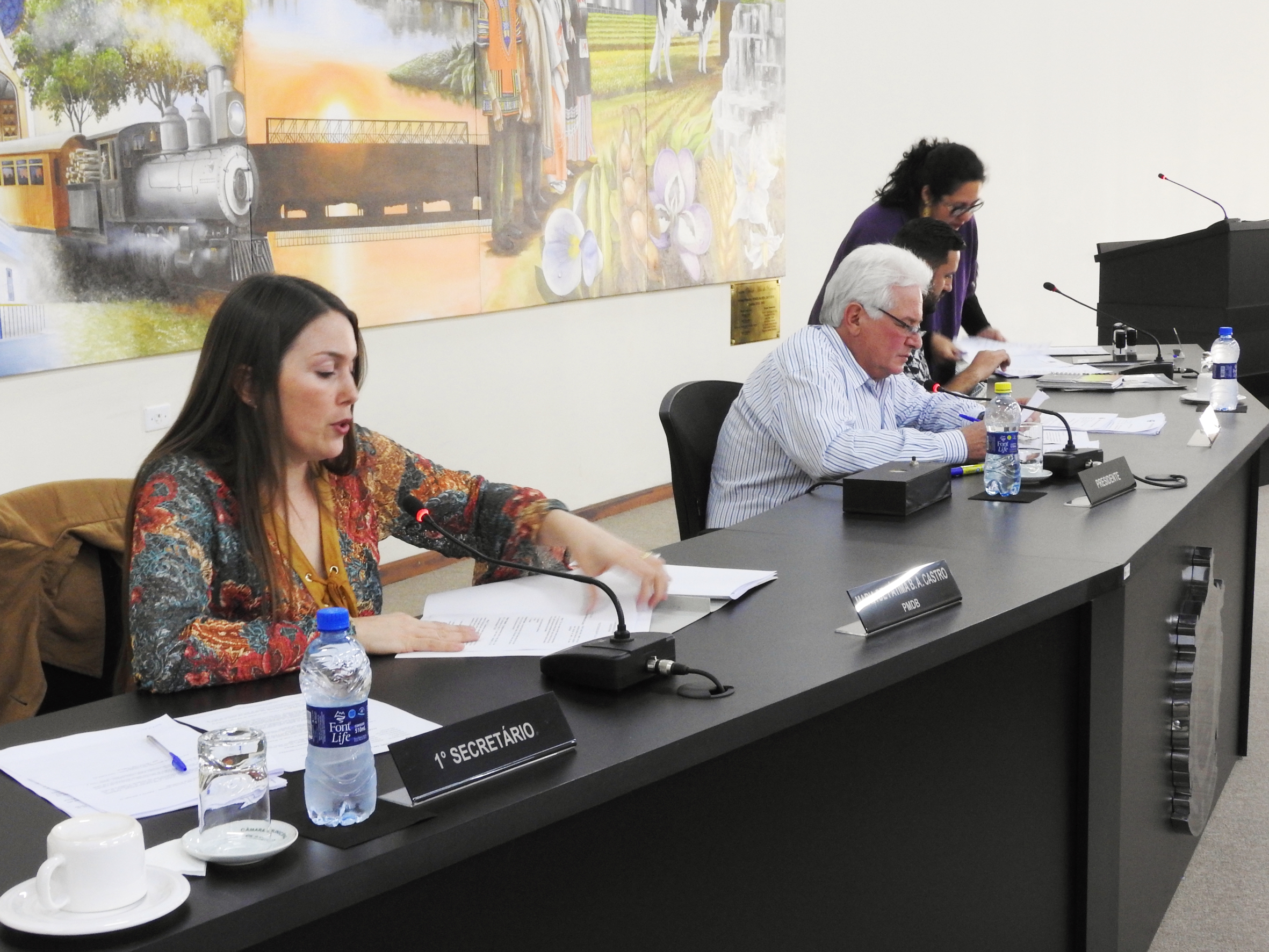 Sessão Ordinária de 02-08-2017 - Foto 19.JPG