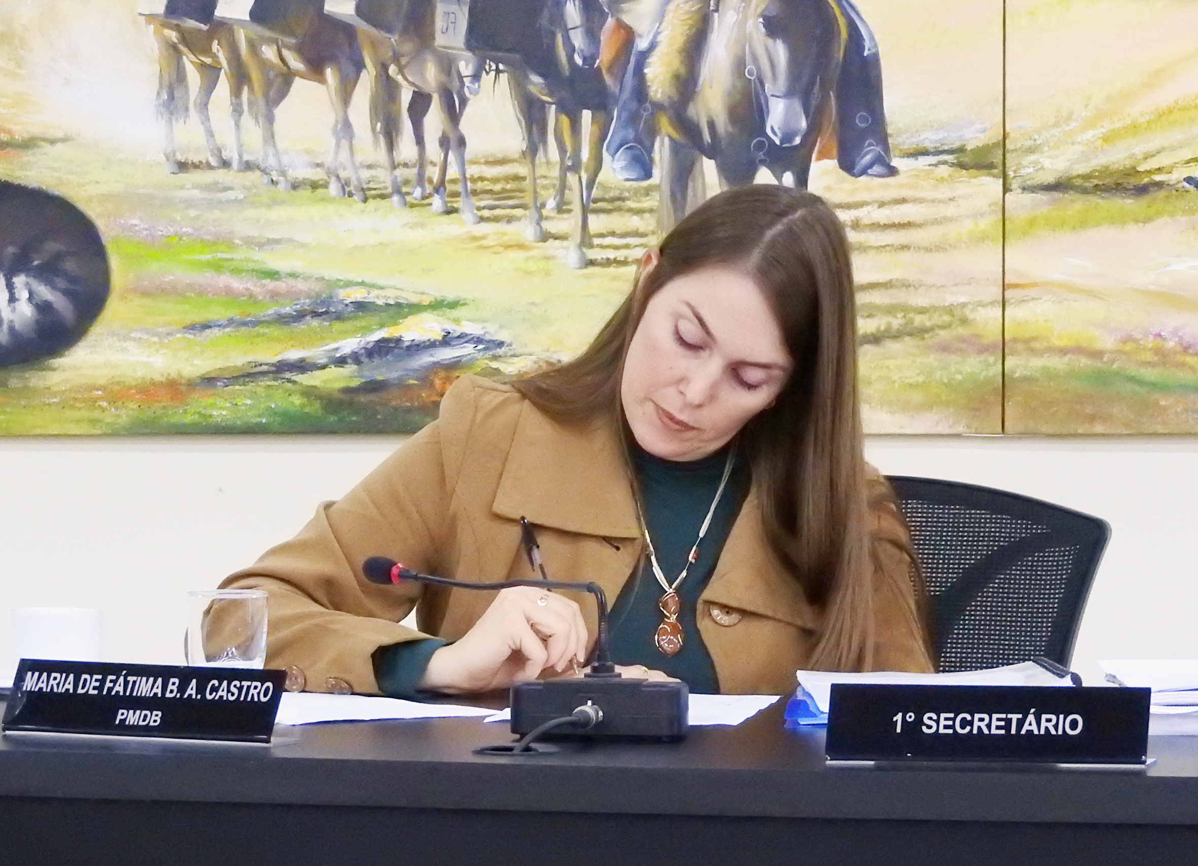 Sessão Ordinária 03-05-2017 - Foto 15.JPG