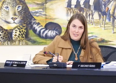 Sessão Ordinária 03-05-2017 - Foto 16.JPG