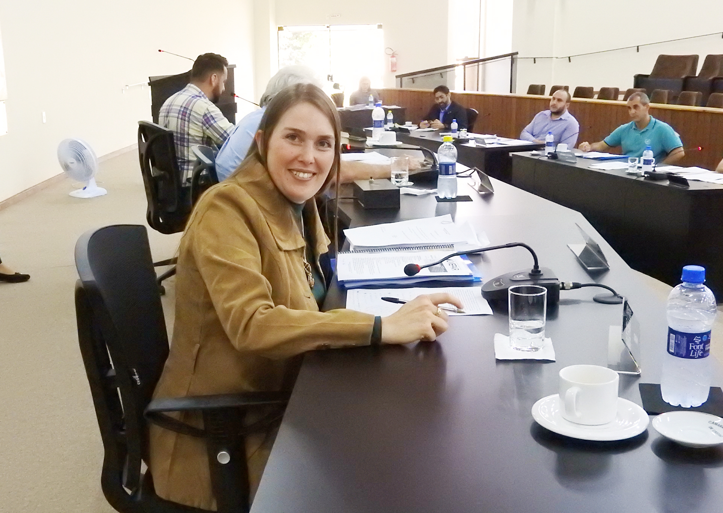 Sessão Ordinária 03-05-2017 - Foto 35.JPG