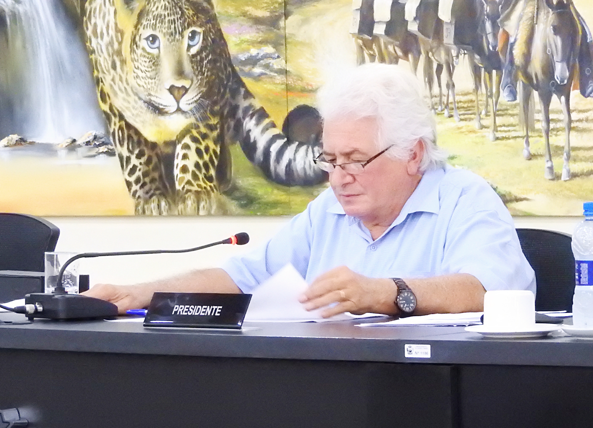 Sessão Ordinária 03-05-2017 - Foto 53.JPG