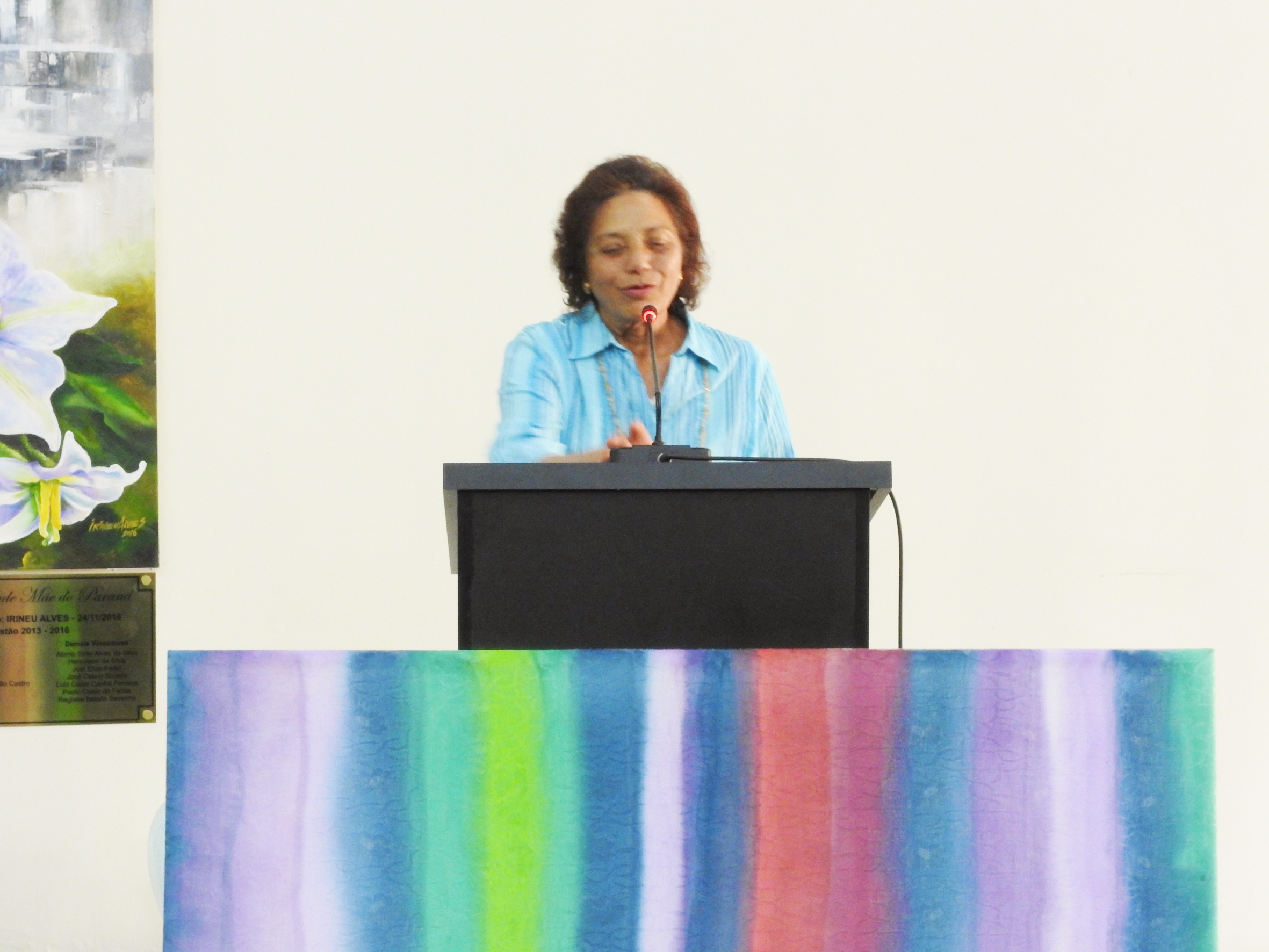 Sessão Ordinária de 06-09-2017 - Foto 44.JPG