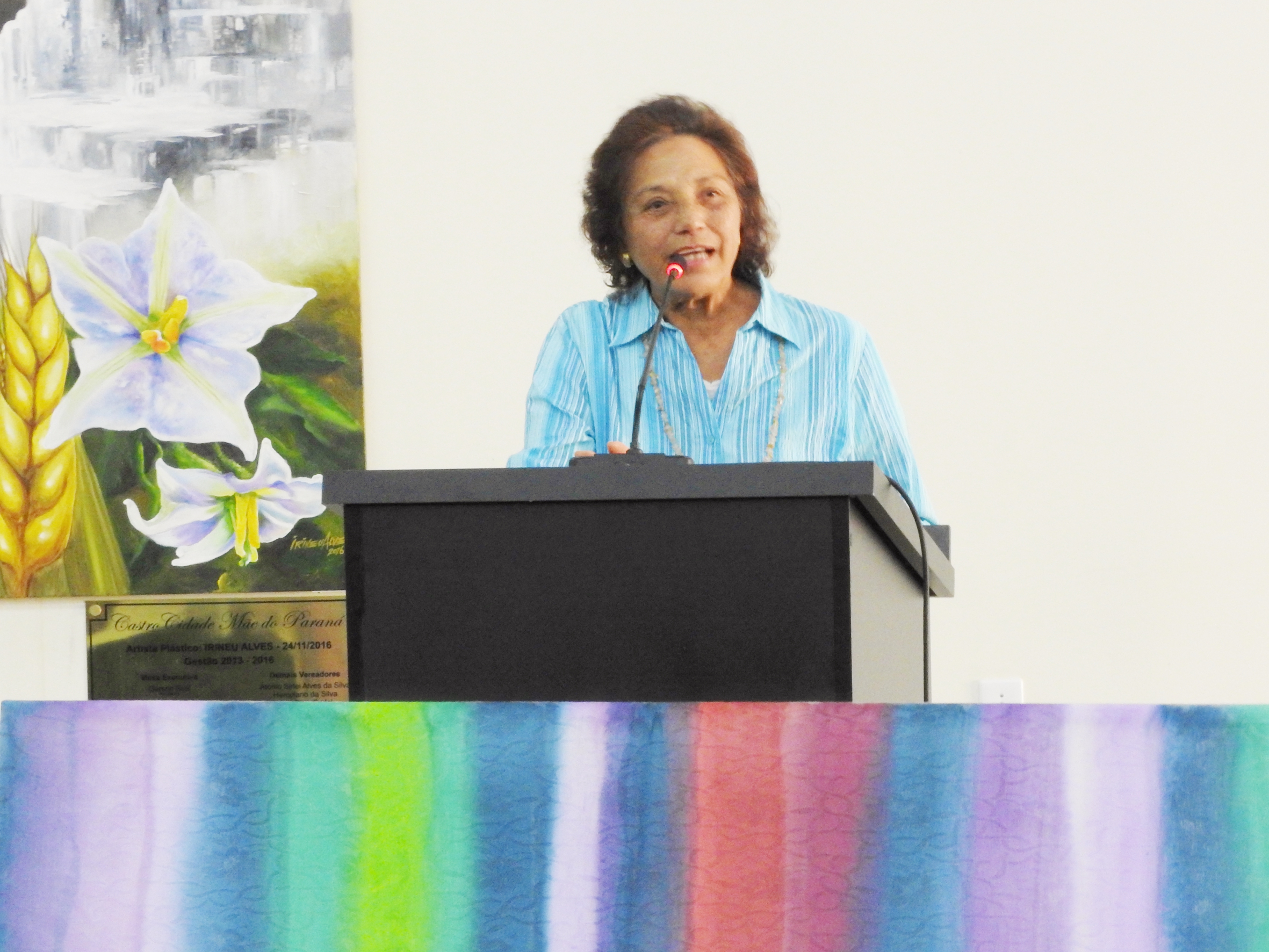 Sessão Ordinária de 06-09-2017 - Foto 45.JPG