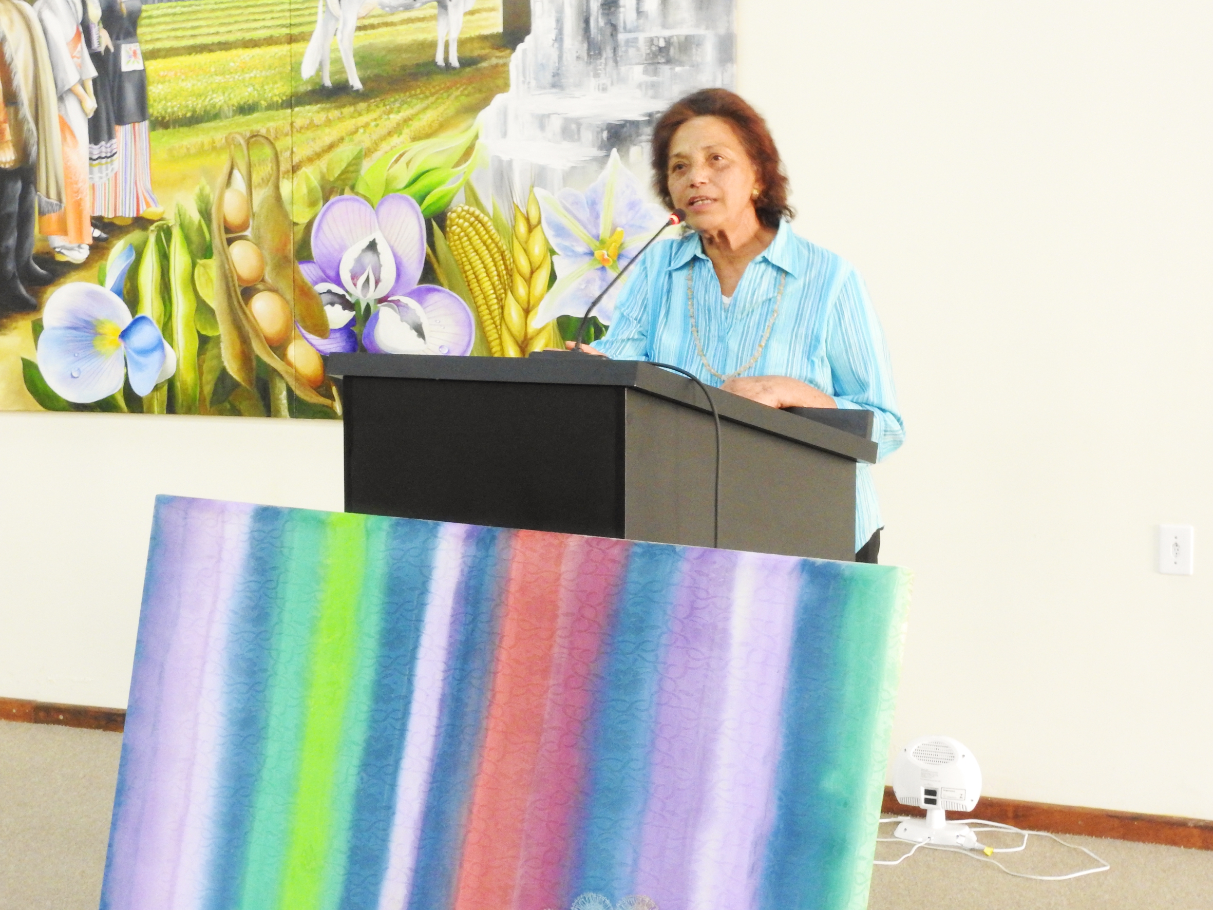 Sessão Ordinária de 06-09-2017 - Foto 47.JPG