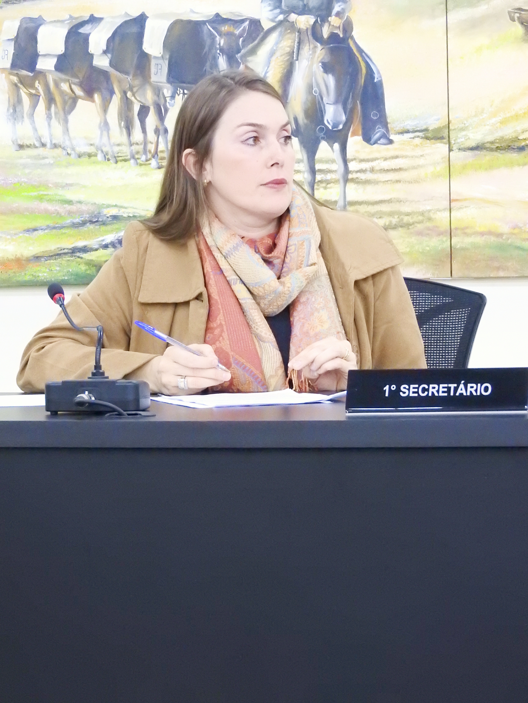 Sessão Ordinária de 07-06-2017 - Foto 38.JPG