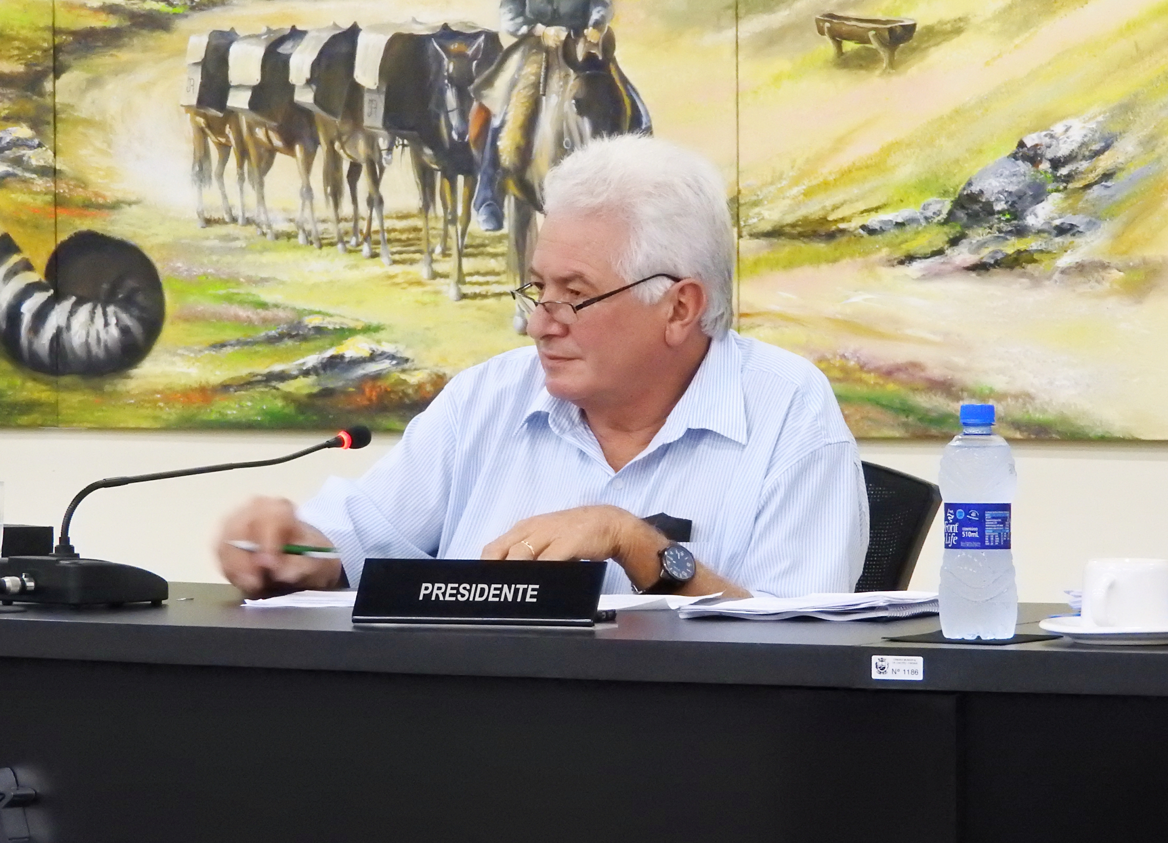 Sessão Ordinária 10-05-2017 - Foto 16.JPG