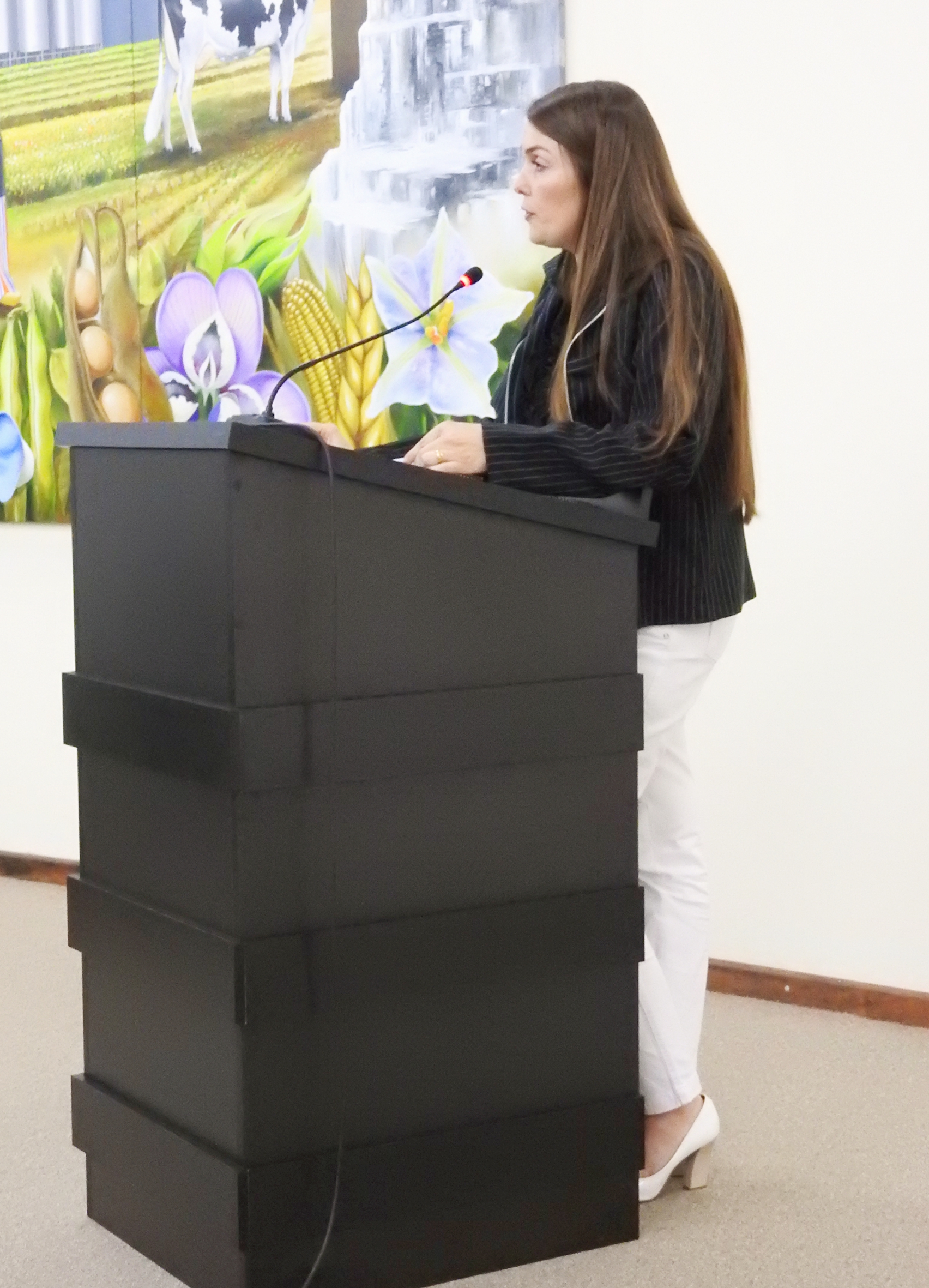 Sessão Ordinária 10-05-2017 - Foto 37.JPG