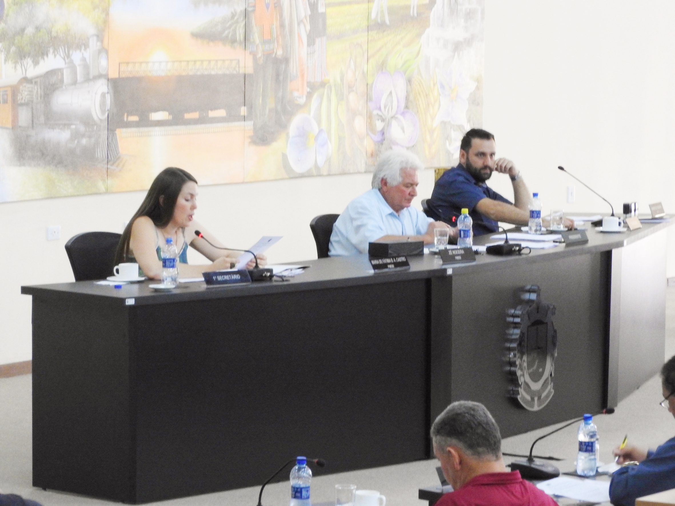 Sessão Ordinária de 13-09-2017 - Foto 02.JPG