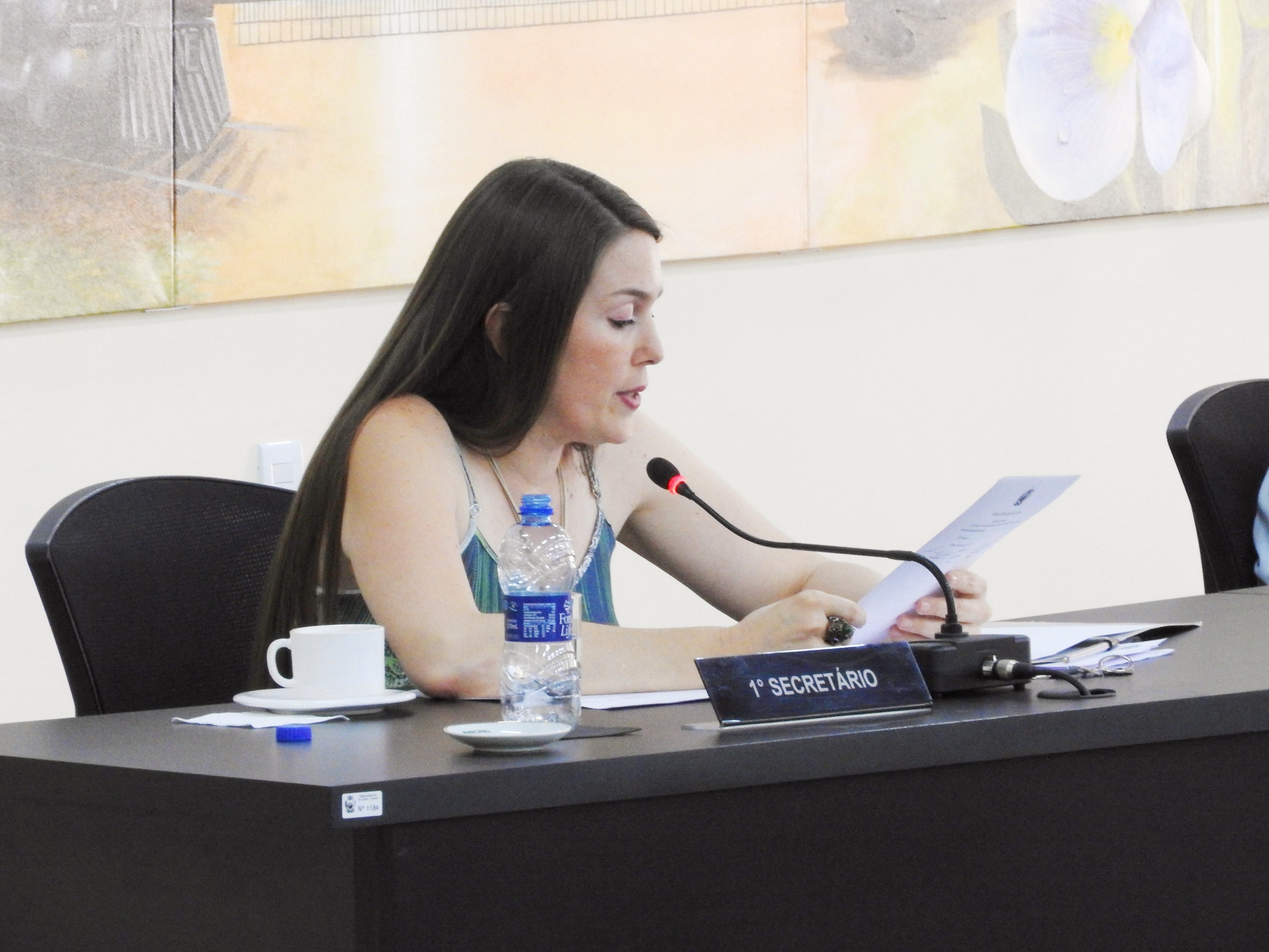 Sessão Ordinária de 13-09-2017 - Foto 03.JPG