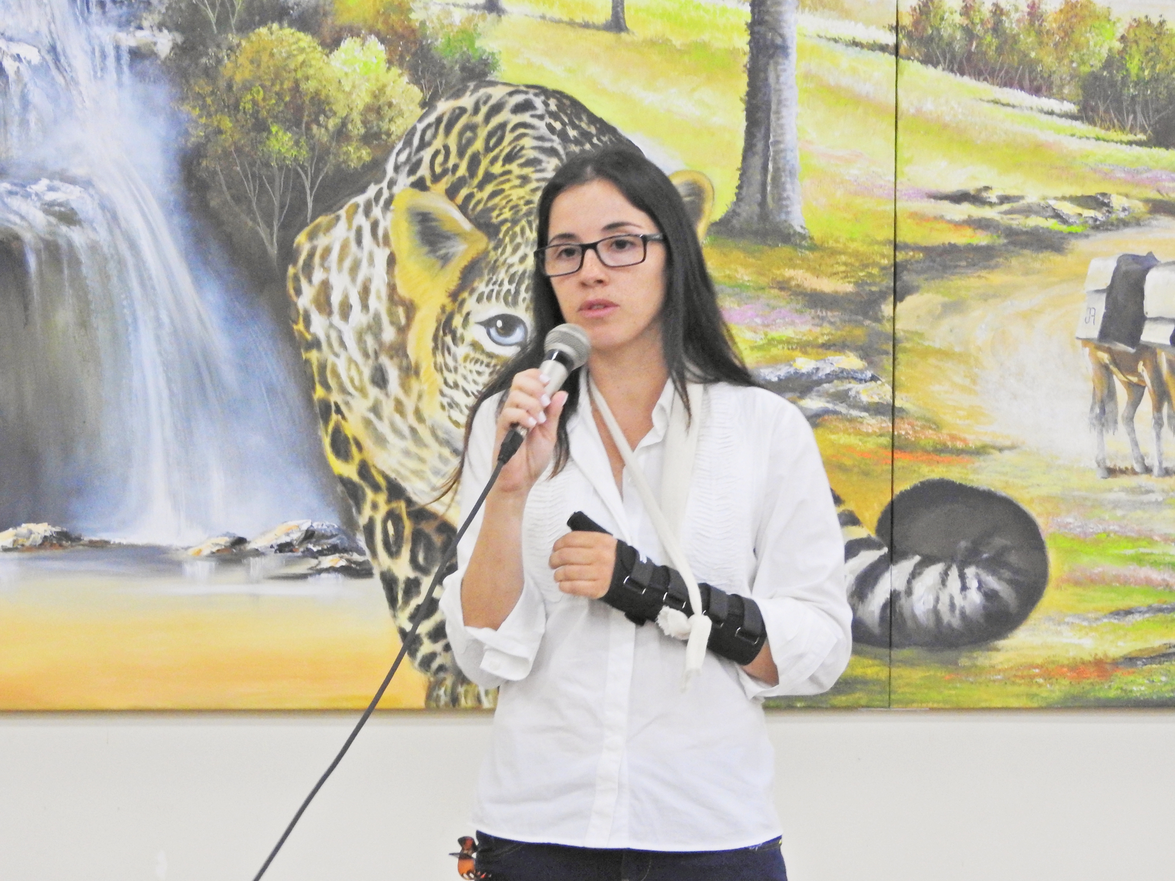 Sessão Ordinária de 21-11-2017 - Foto 09.JPG