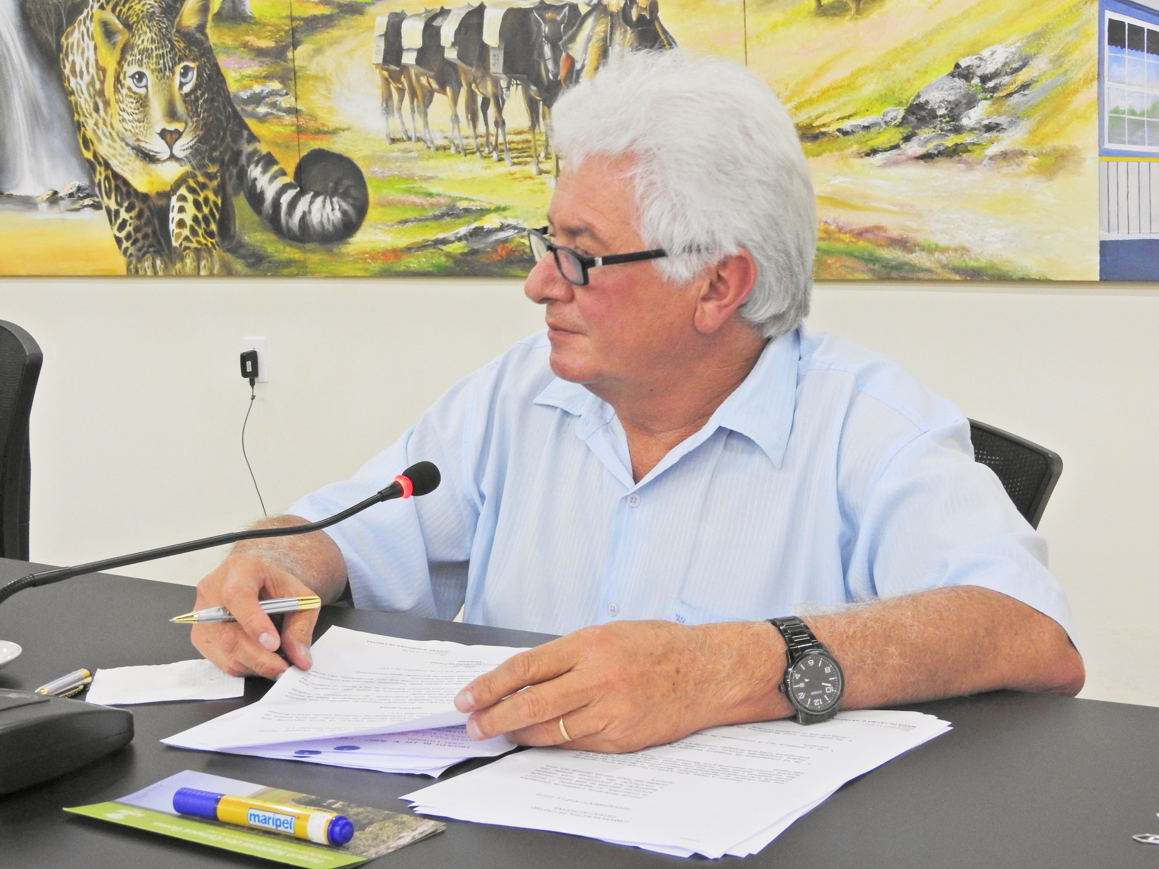 Sessão Ordinária de 21-11-2017 - Foto 48.JPG