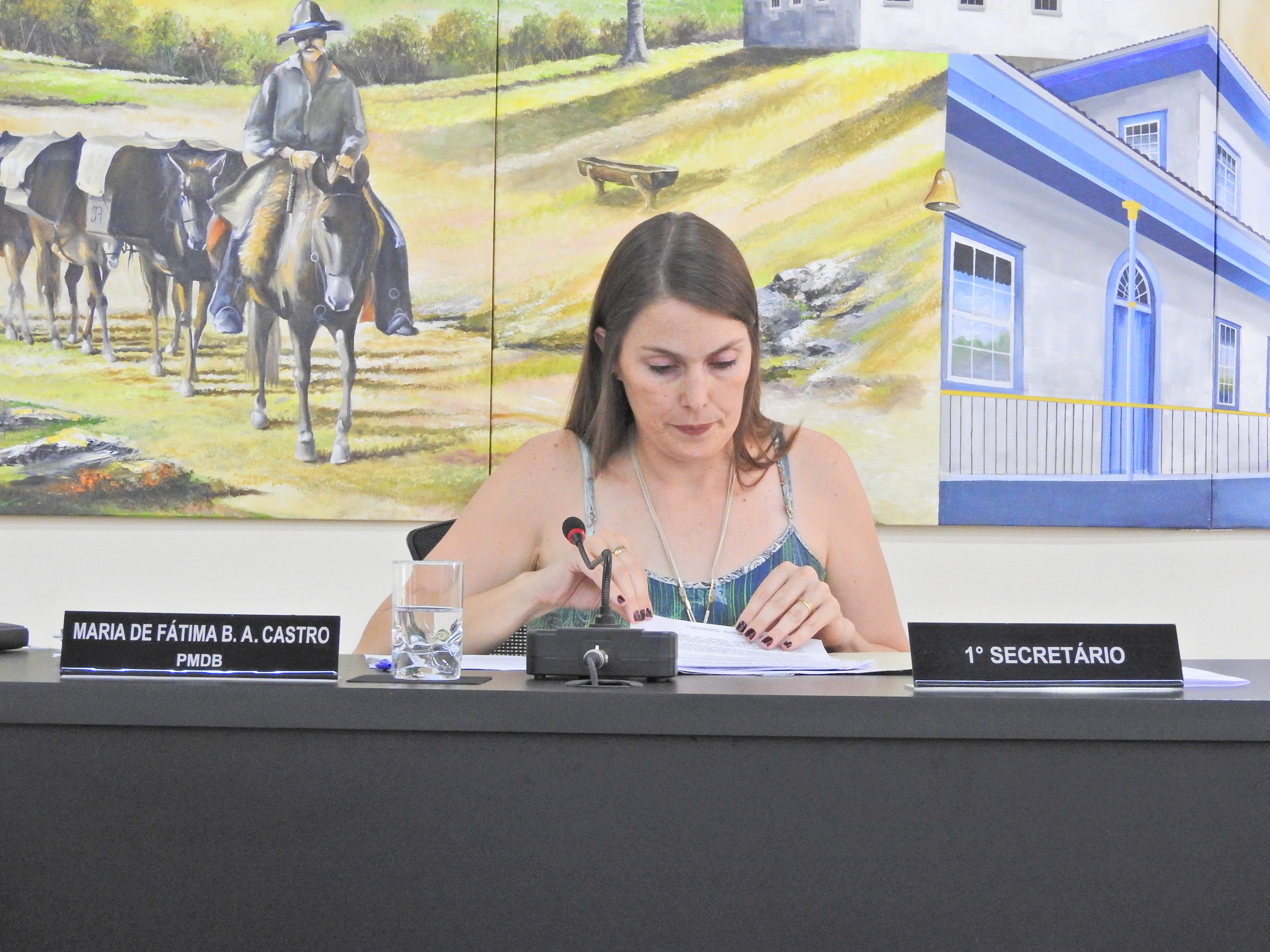 Sessão Ordinária 22-02-2017 - Foto 14.JPG