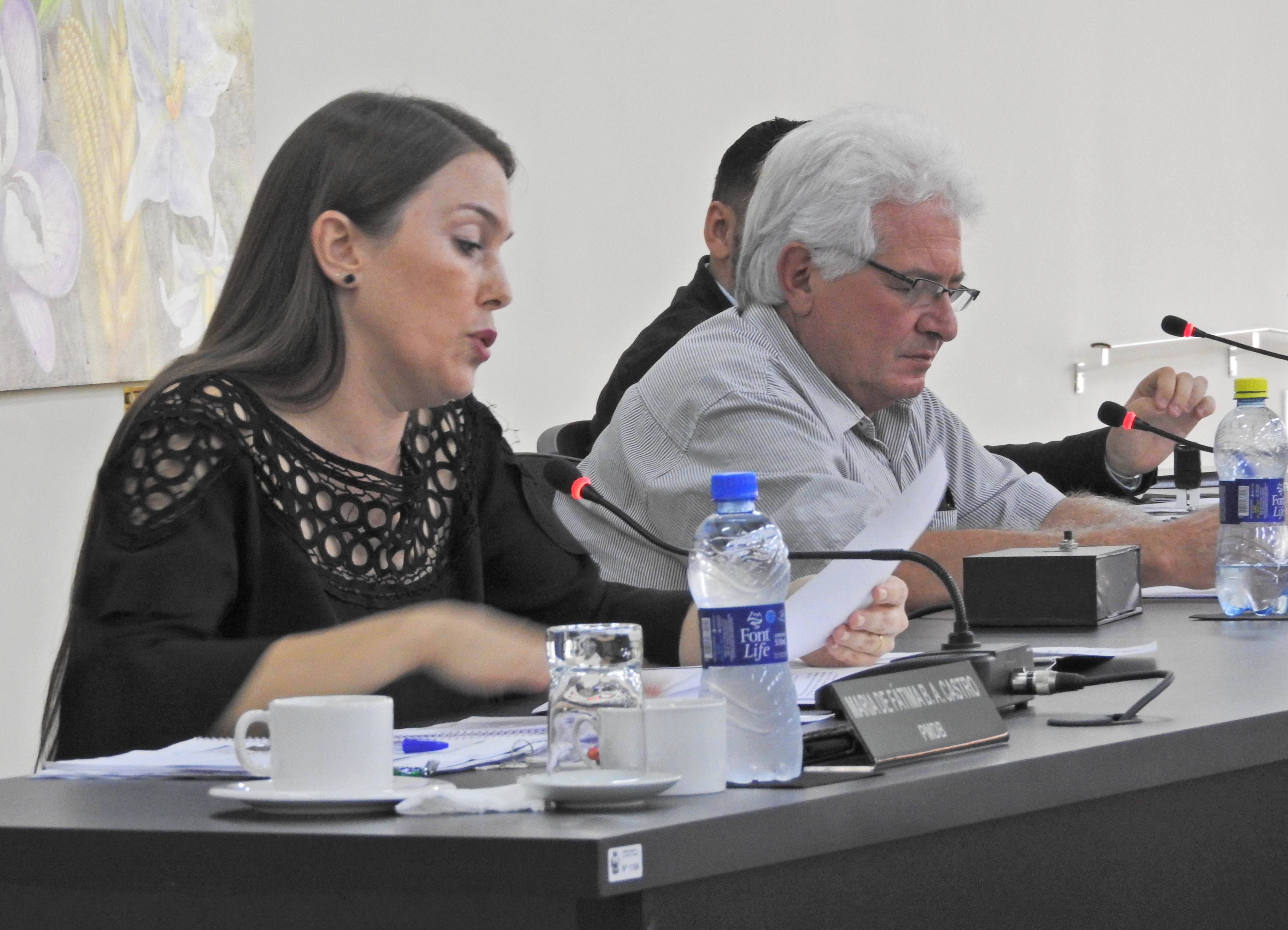 Sessão Ordinária 22-03-2017 - Foto 26.JPG