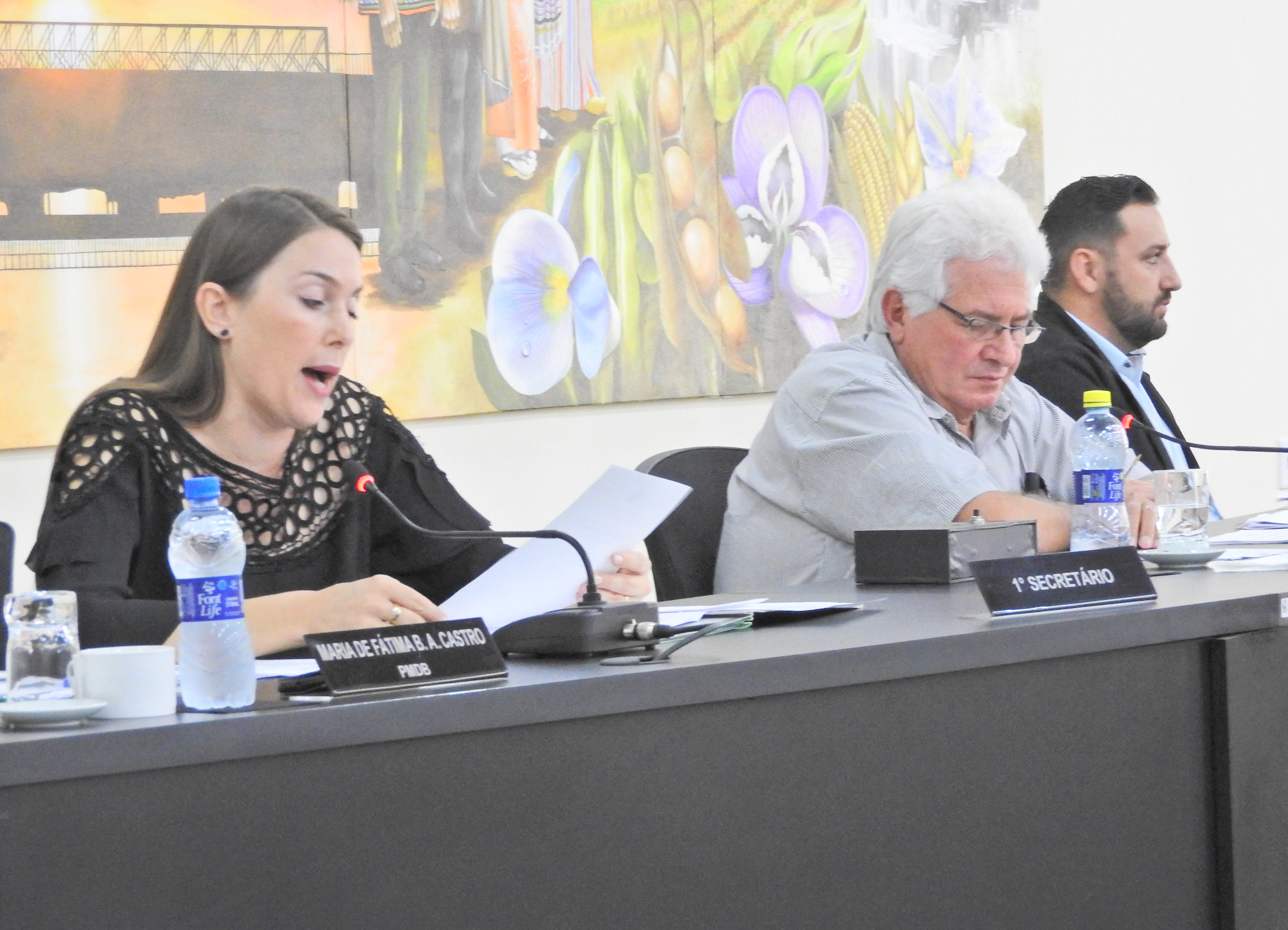 Sessão Ordinária 22-03-2017 - Foto 27.JPG