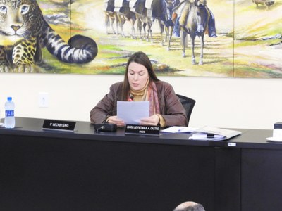 Sessão Ordinária de 23-08-2017 - Fotos N 15.JPG