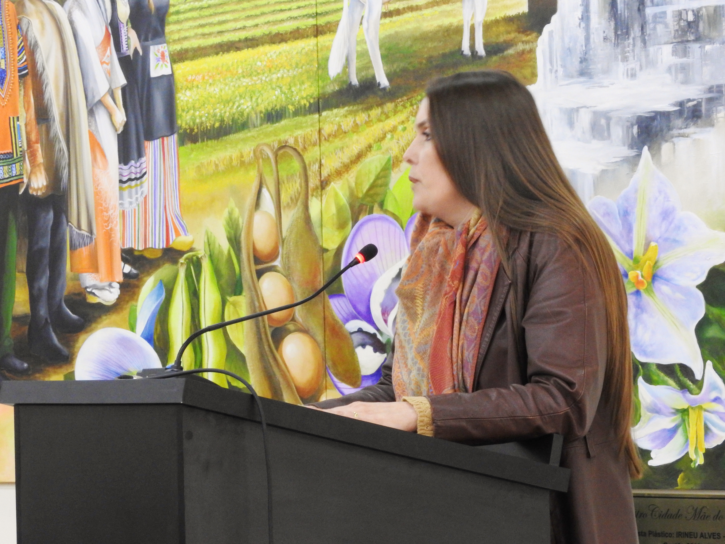 Sessão Ordinária de 23-08-2017 - Fotos N 58.JPG