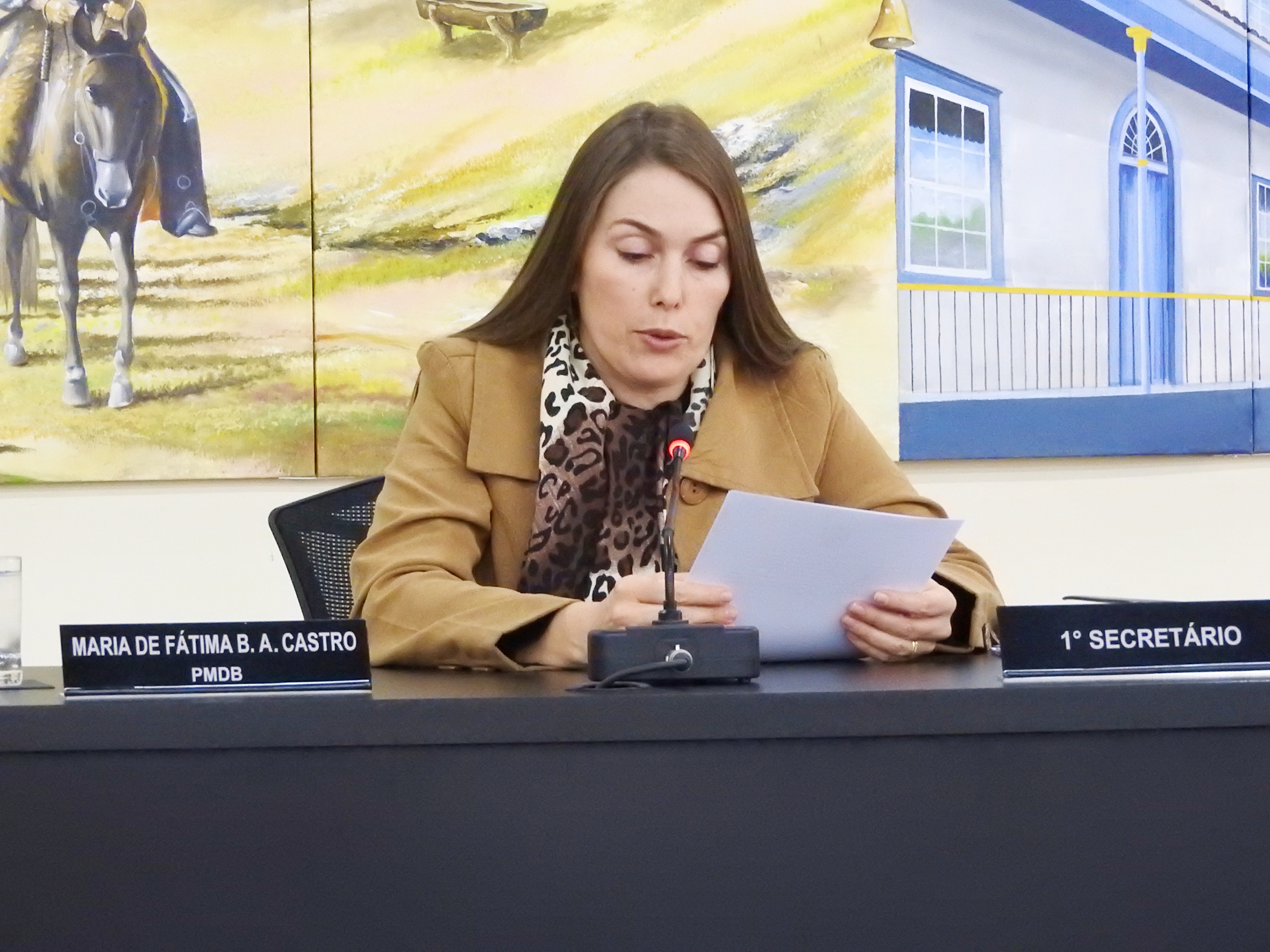 Sessão Ordinária de 24-05-2017 - foto 11.JPG