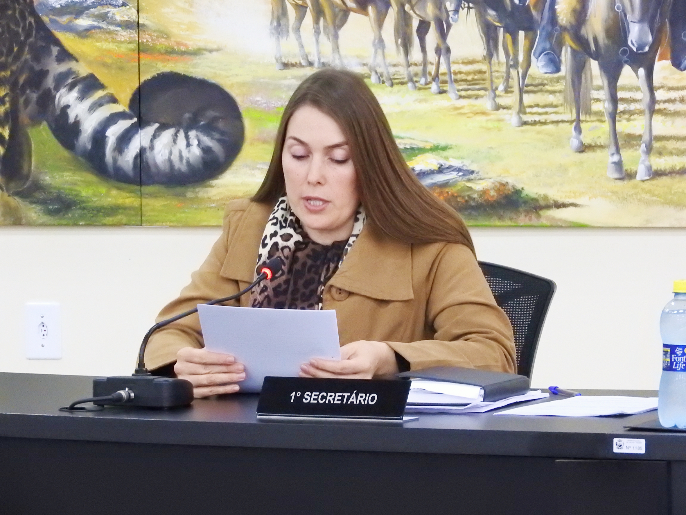 Sessão Ordinária de 24-05-2017 - foto 12.JPG