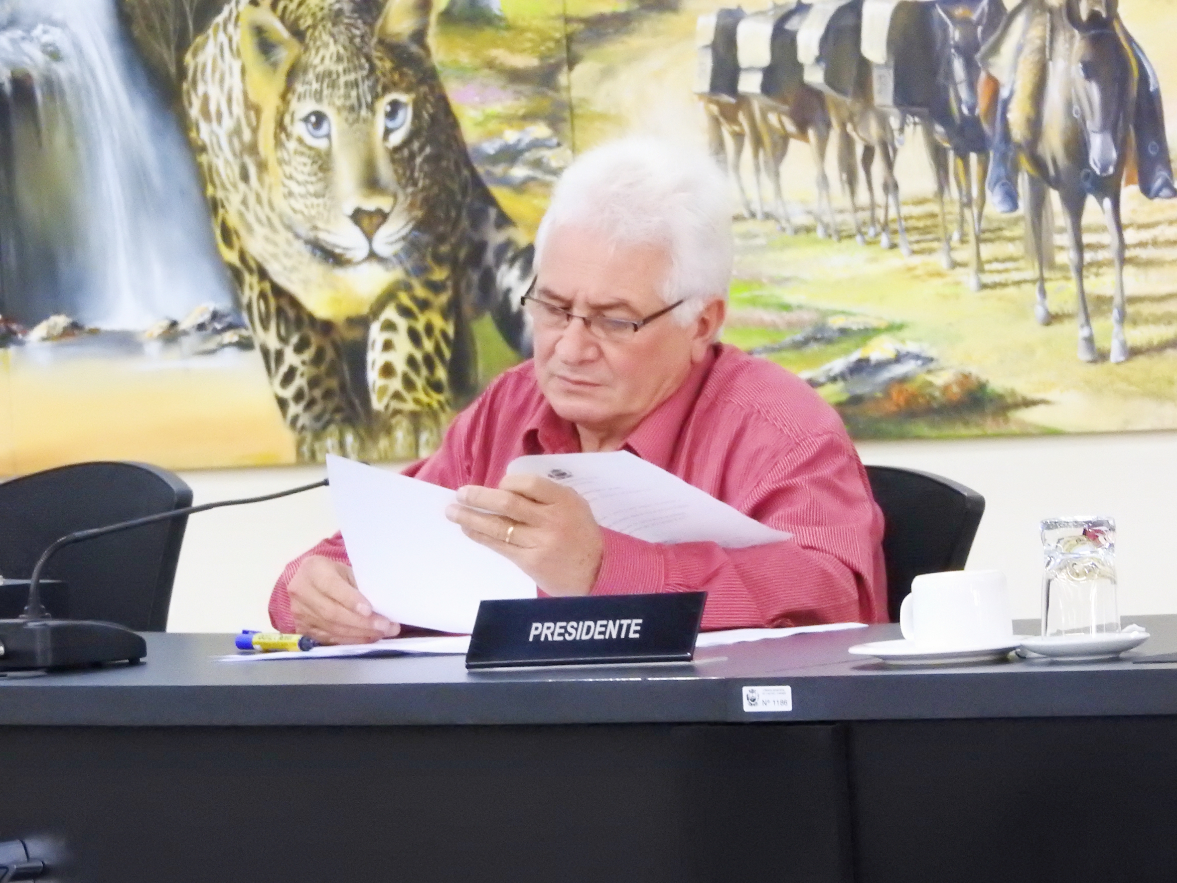 Sessão Ordinária de 24-05-2017 - foto 17.JPG