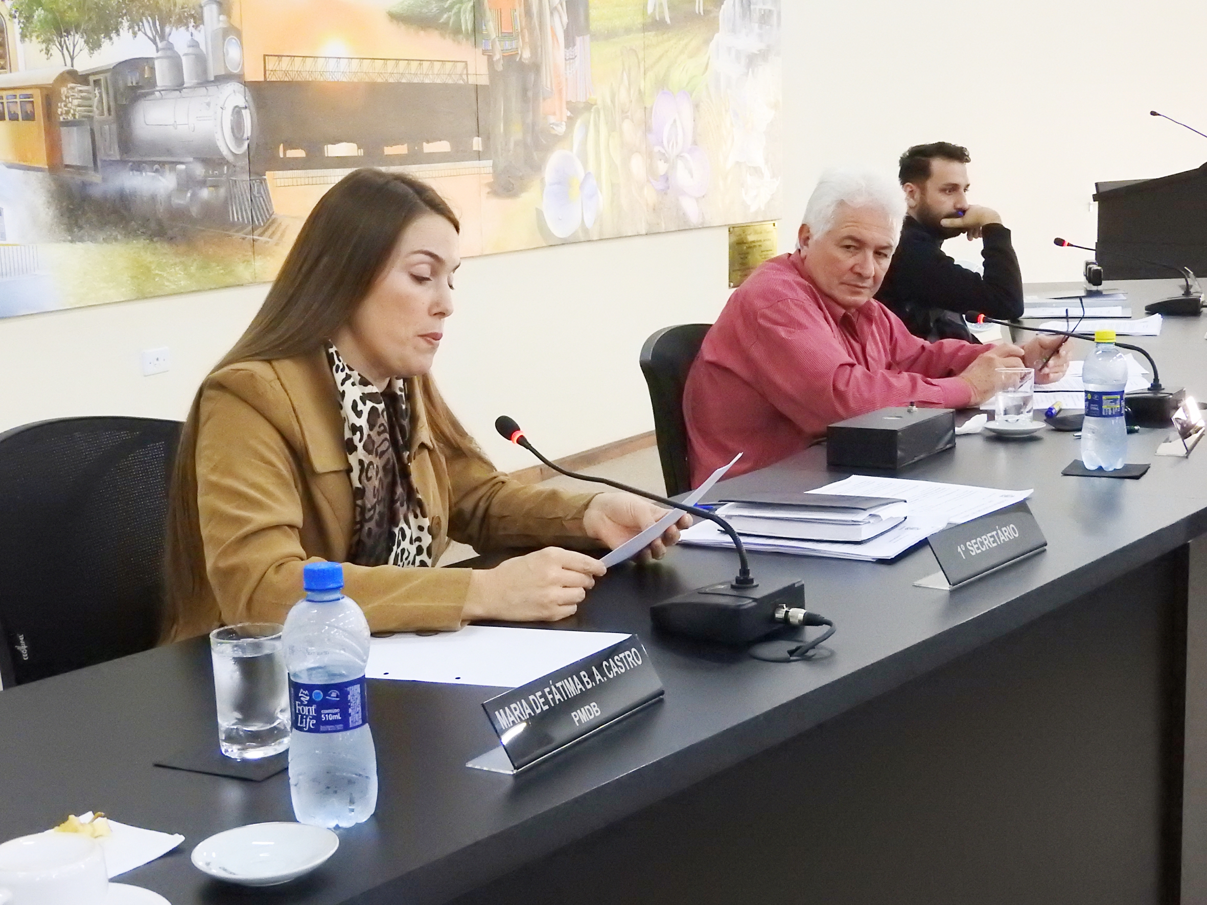 Sessão Ordinária de 24-05-2017 - foto 30.JPG