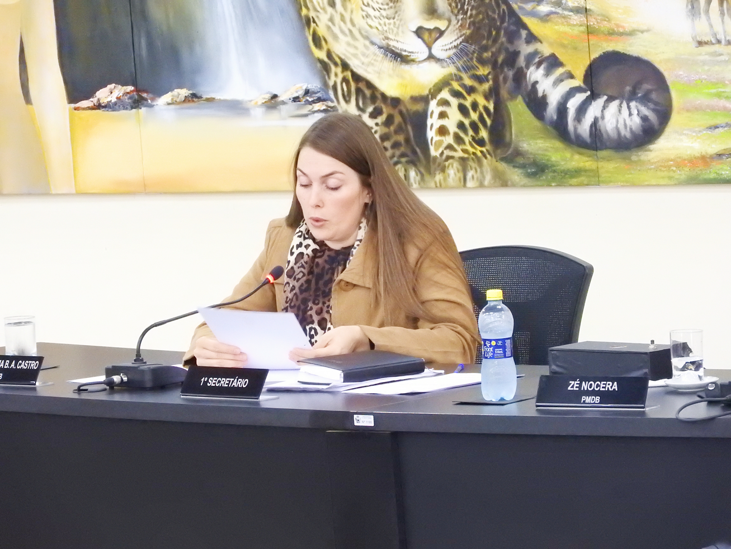 Sessão Ordinária de 24-05-2017 - foto 53.JPG