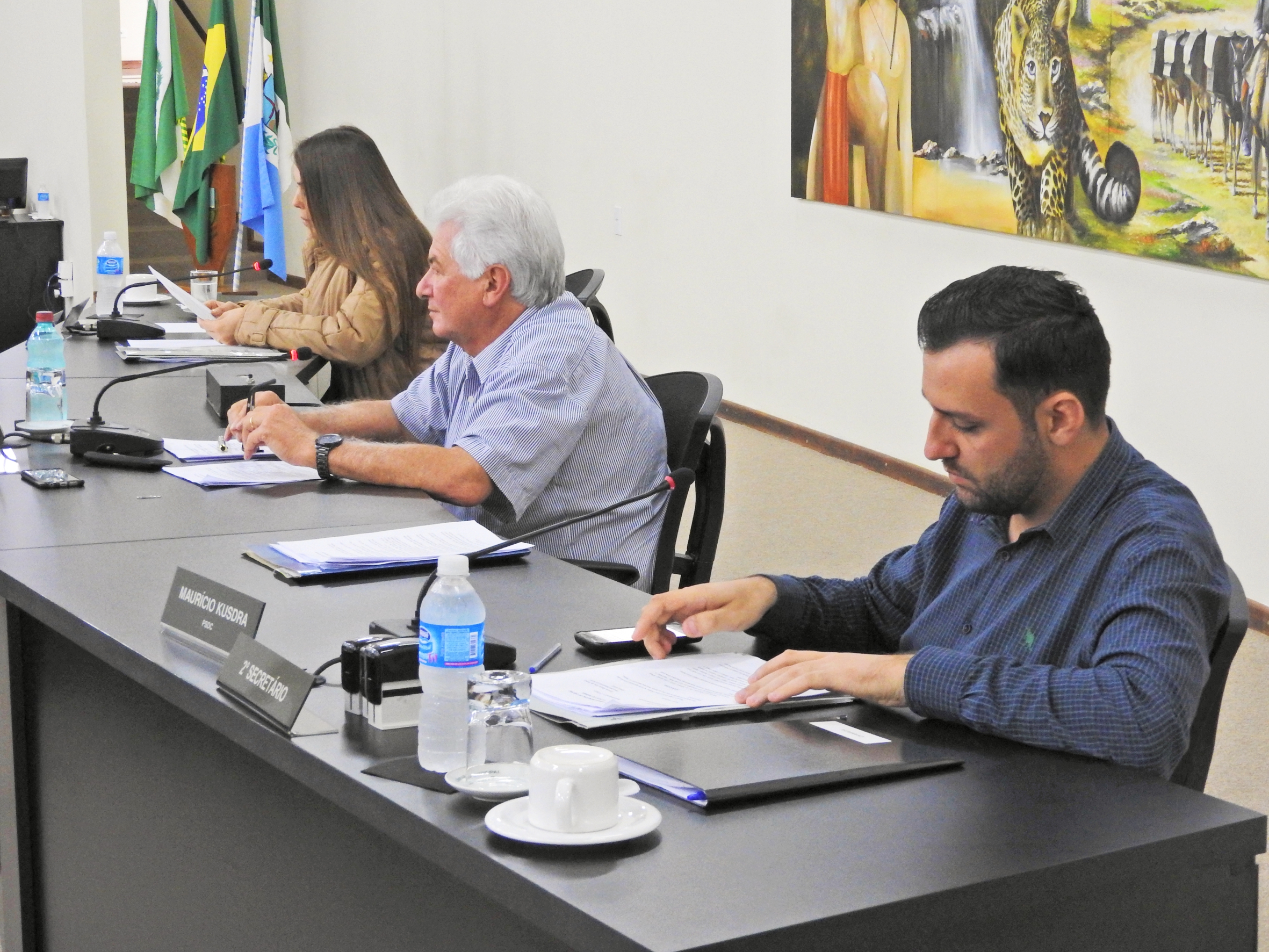 Sessão Ordinária de 25-10-2017 - Foto 27.JPG