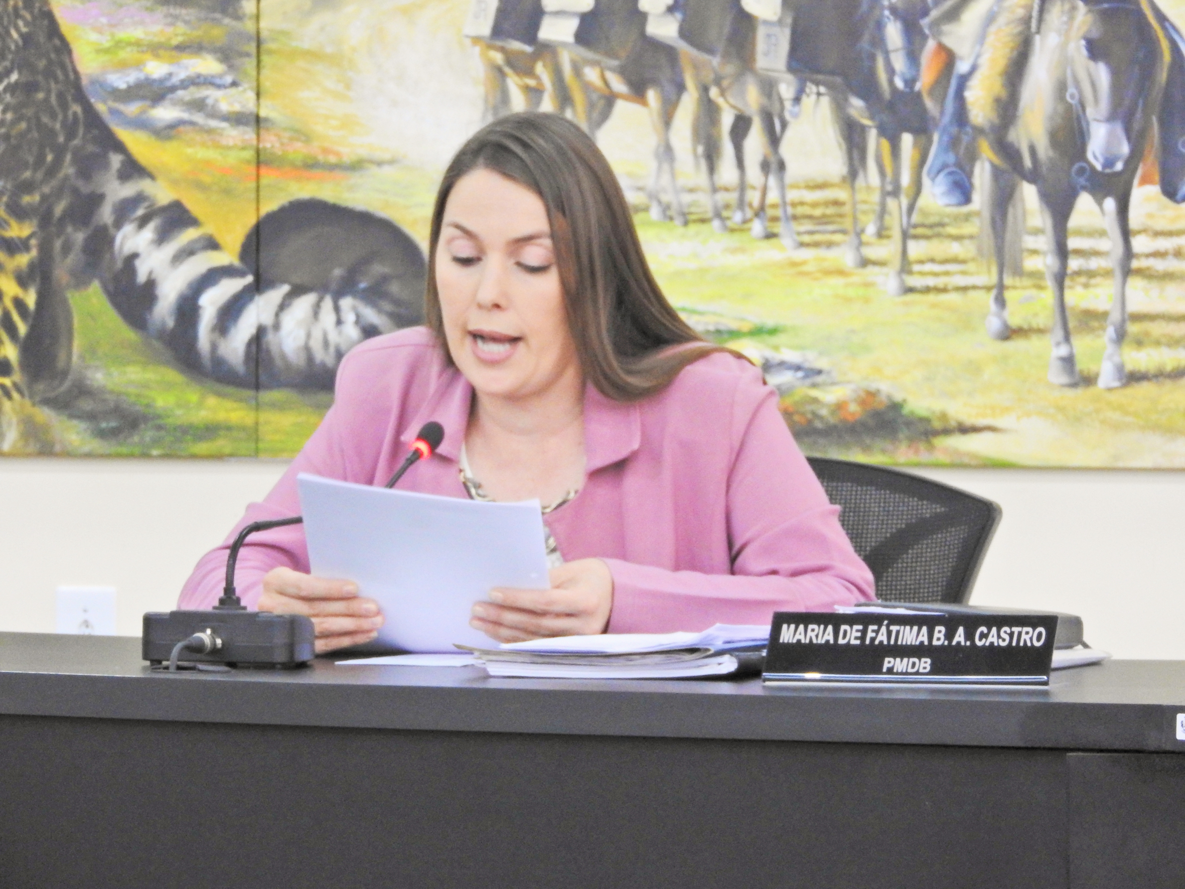 Sessão Ordinária de 27-09-2017 - Foto 11.JPG