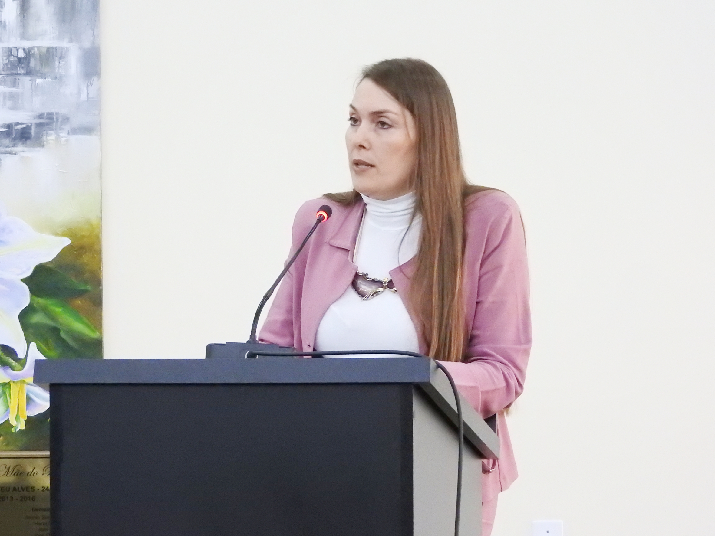 Sessão Ordinária de 28-06-2017 - foto 06.JPG