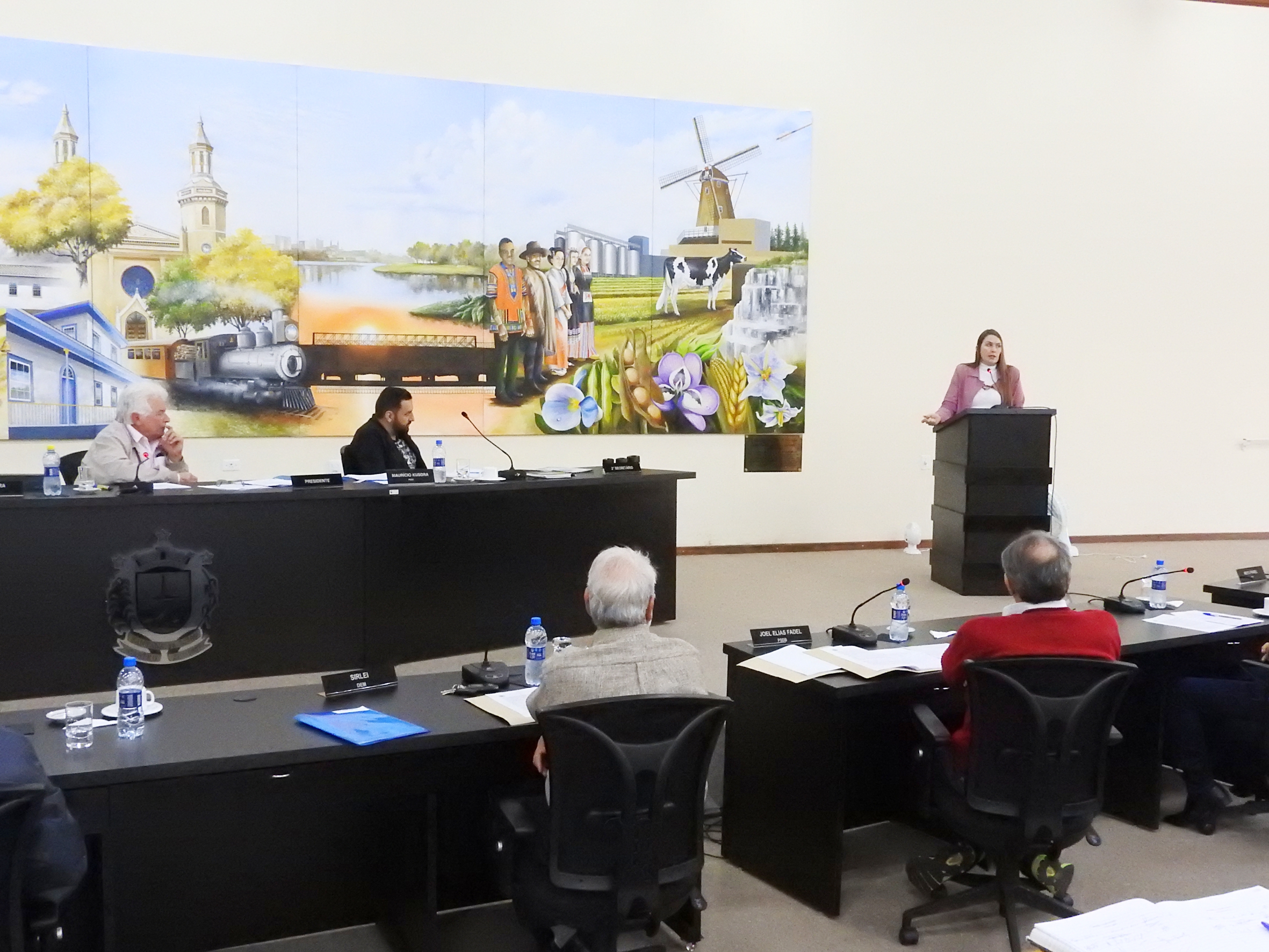 Sessão Ordinária de 28-06-2017 - foto 08.JPG