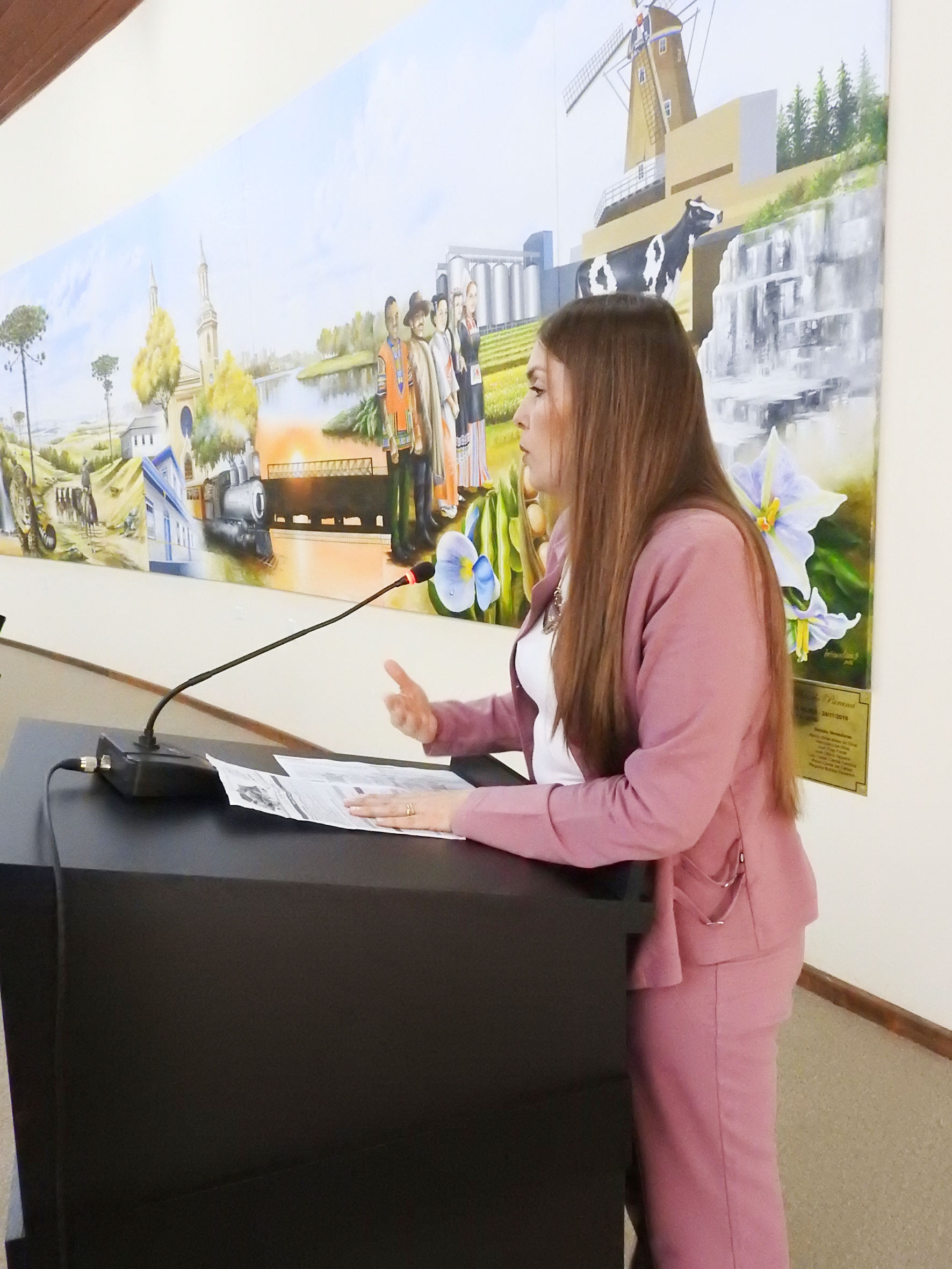 Sessão Ordinária de 28-06-2017 - foto 10.JPG