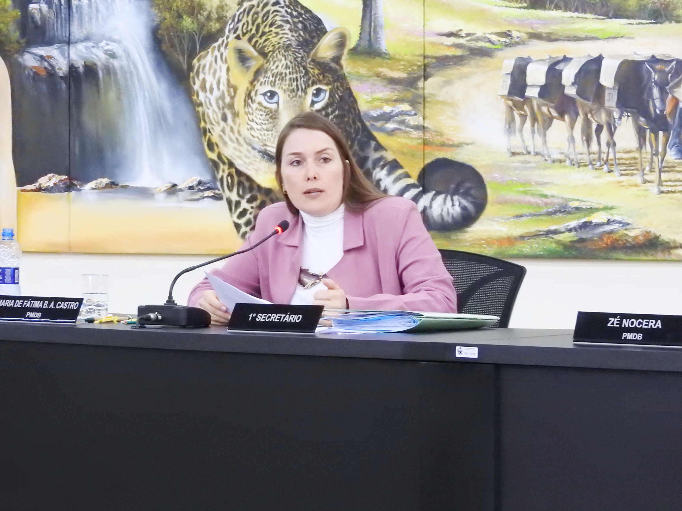 Sessão Ordinária de 28-06-2017 - foto 20.JPG