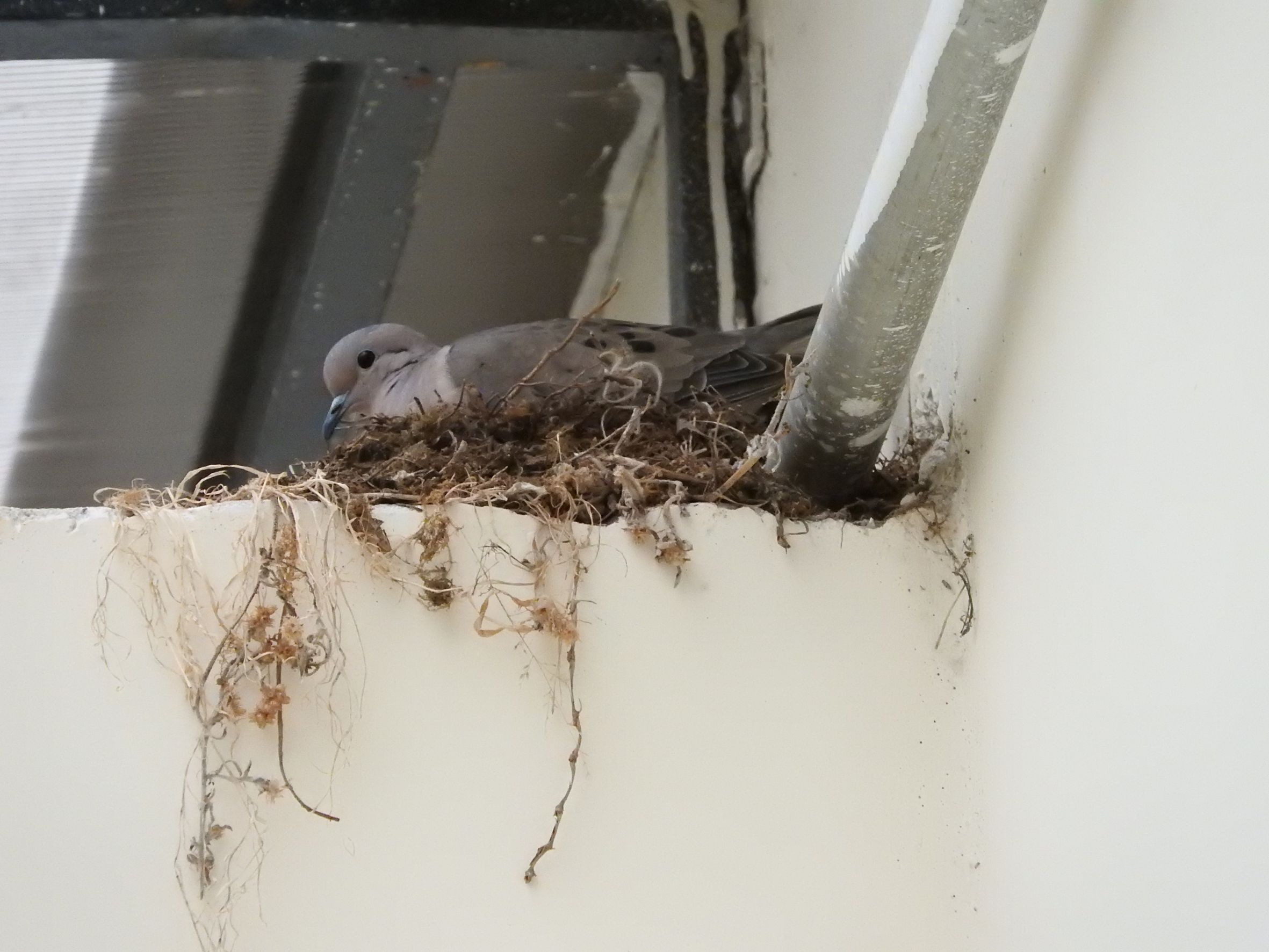 2018-11-14 - SO - Foto 012.JPG