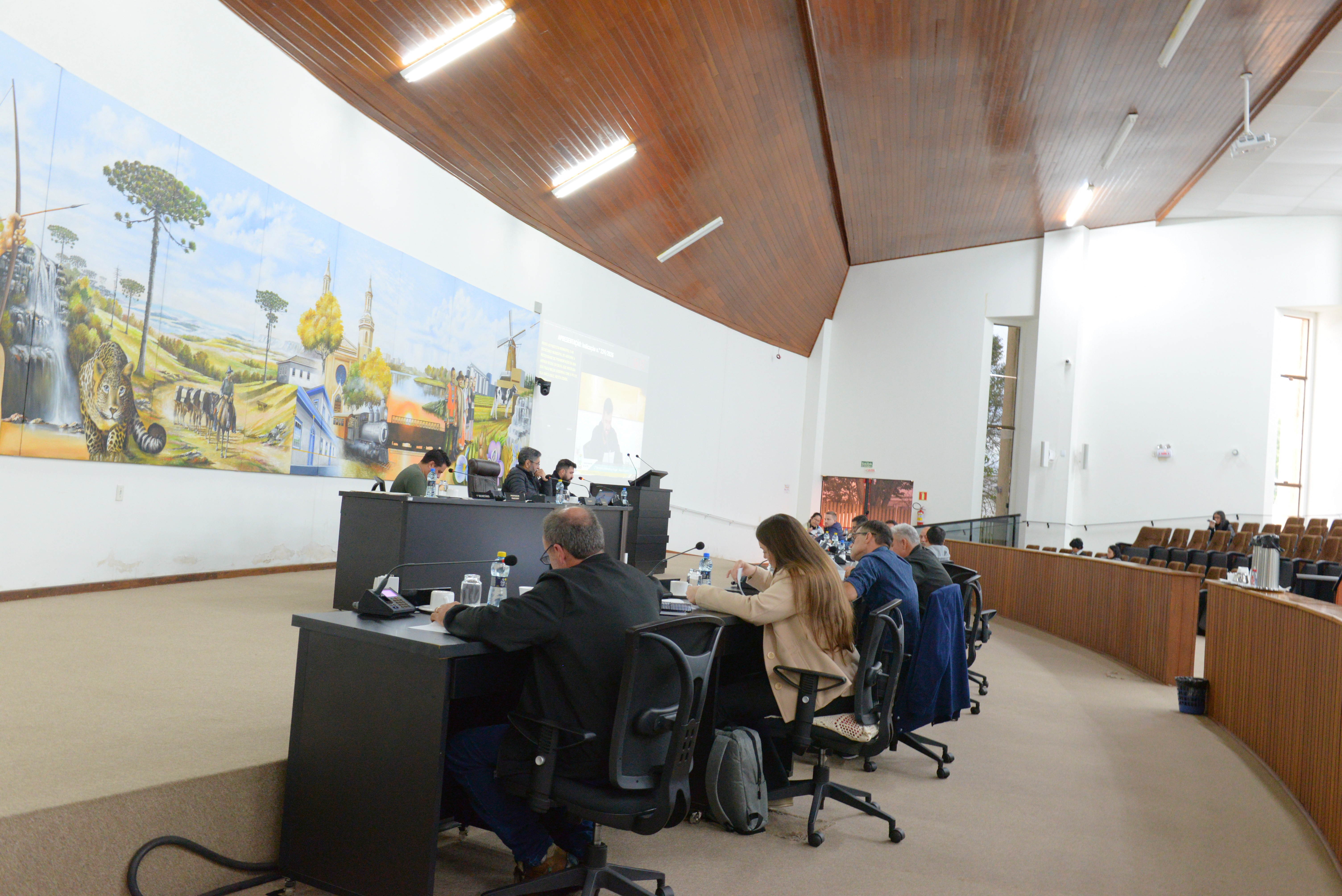 Programa Bolsa Atleta é aprovado na Câmara